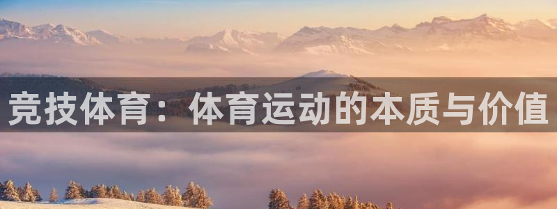 杏宇平台注册入口