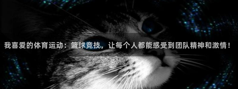 杏宇2官网