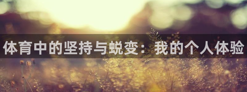 杏宇平台主管