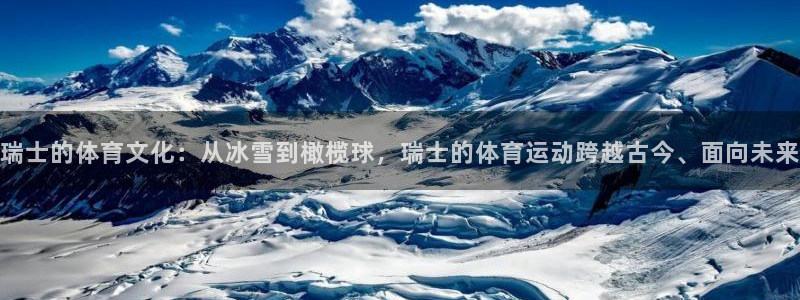 杏宇集团官网