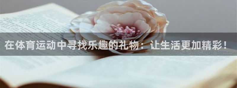杏宇2平台登录