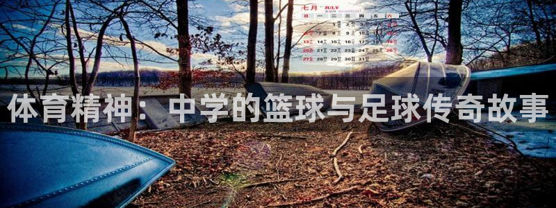 杏宇2官网