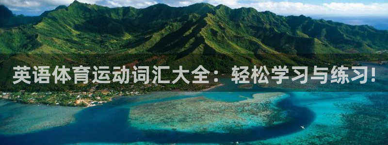 杏宇平台登录官网