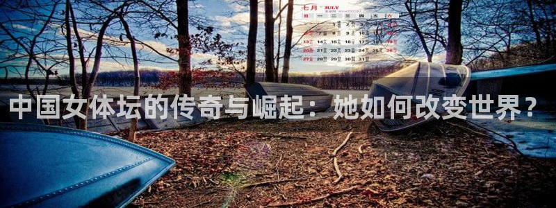 杏宇体育网页版入口