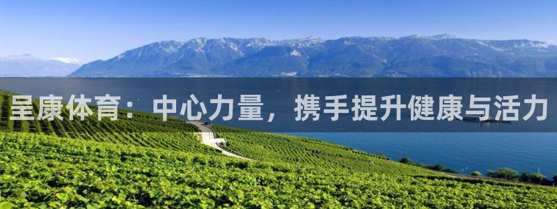 杏宇官网