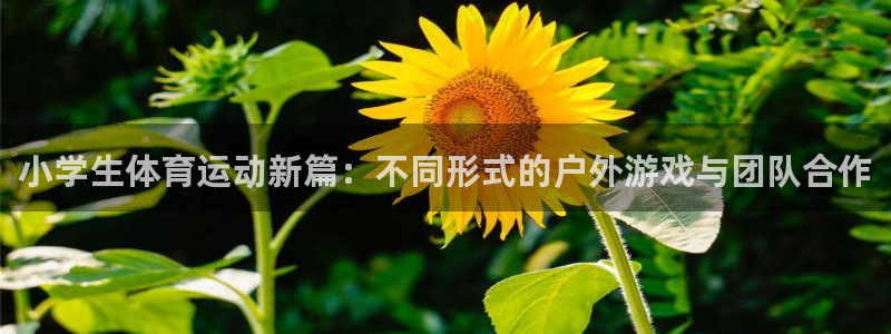 杏宇3平台登录注册