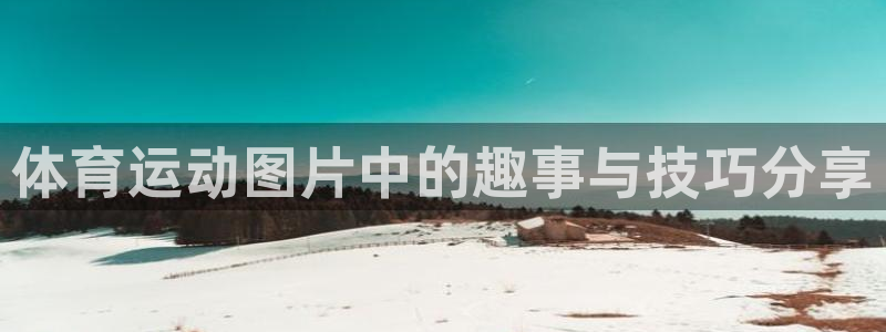 杏宇平台总代理