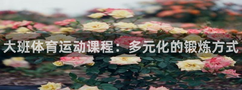杏宇平台注册