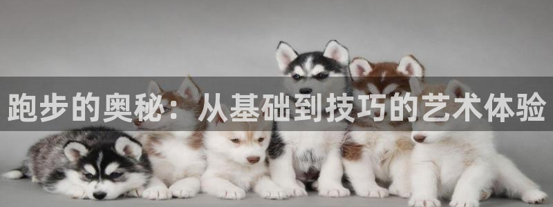 杏宇体育凯捷登陆