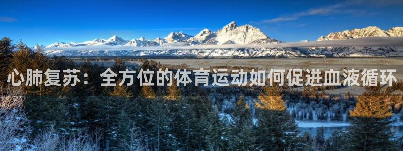 上海杏宇汽车电子有限公司
