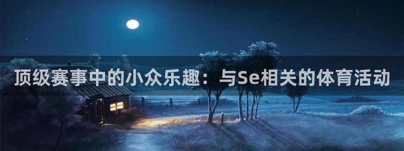 杏宇体育网页版入口