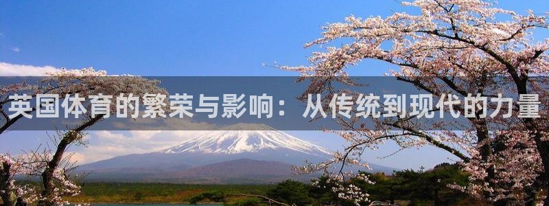 山西杏宇酒业有限公司